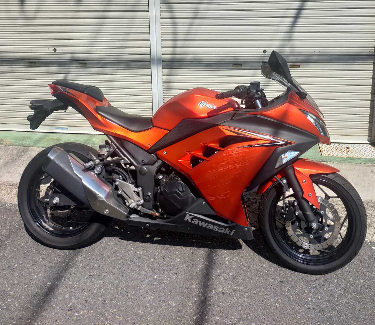 カワサキ スペシャルエディション | のカタログ ニンジャ250R 0 