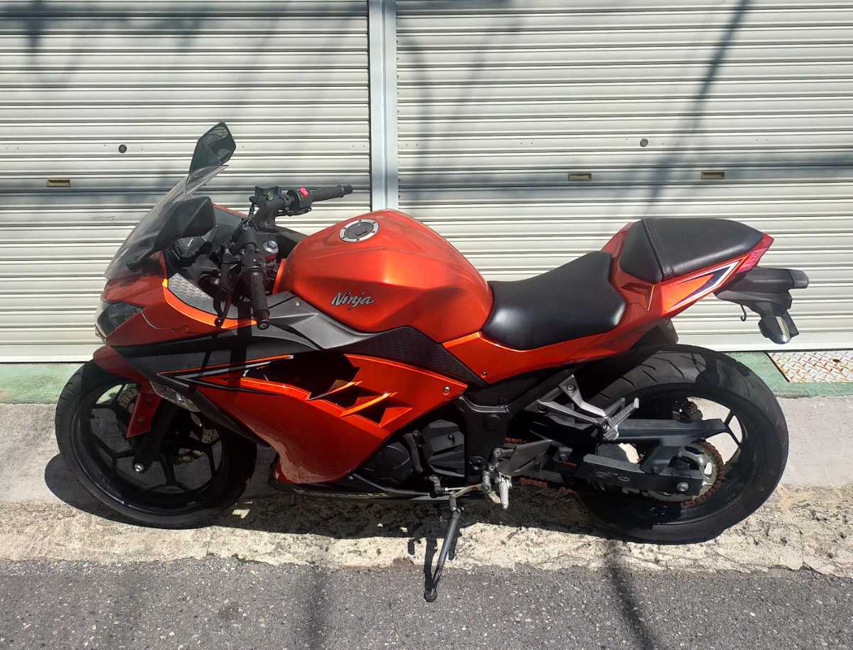 カワサキ スペシャルエディション | のカタログ ニンジャ250R 0 