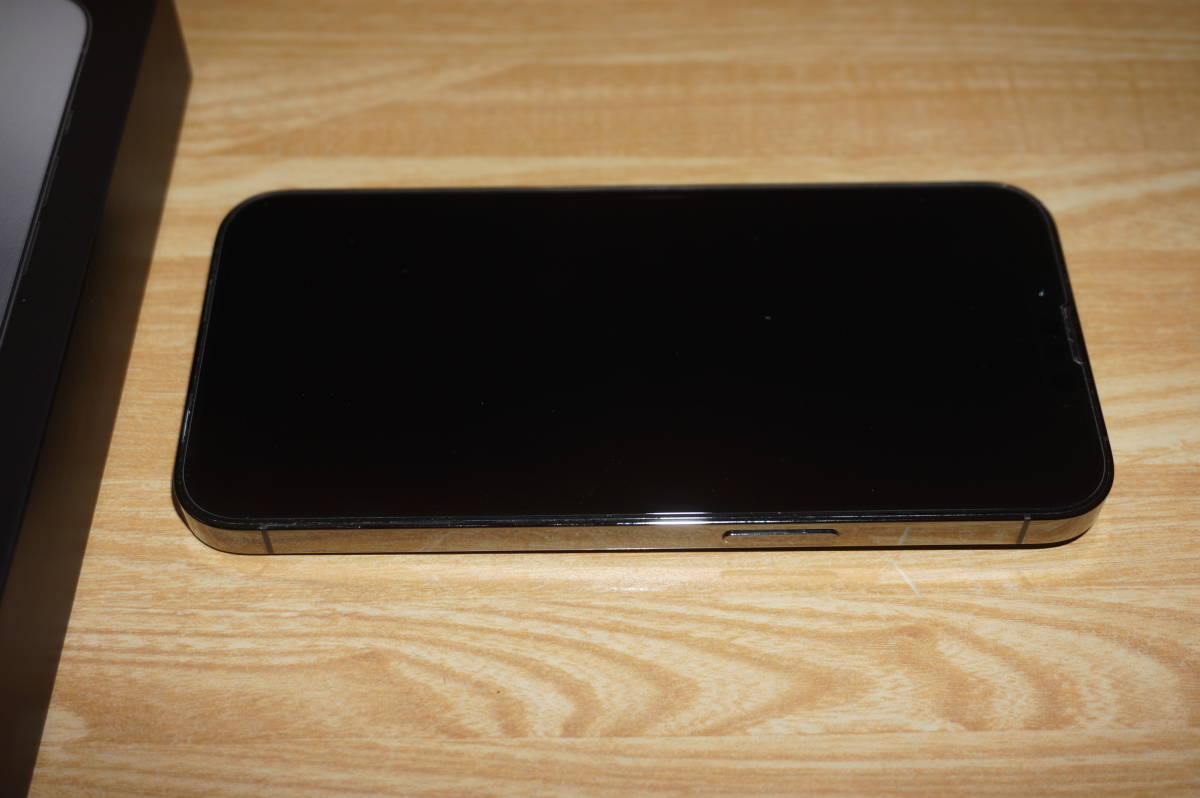 Apple iPhone 13 Pro 256GB グラファイト アップルストア購入 SIM