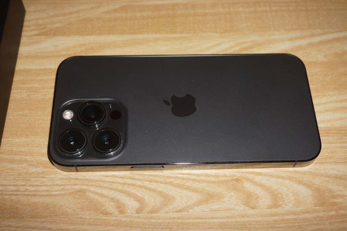 Apple iPhone 13 Pro 256GB グラファイト アップルストア購入 SIM