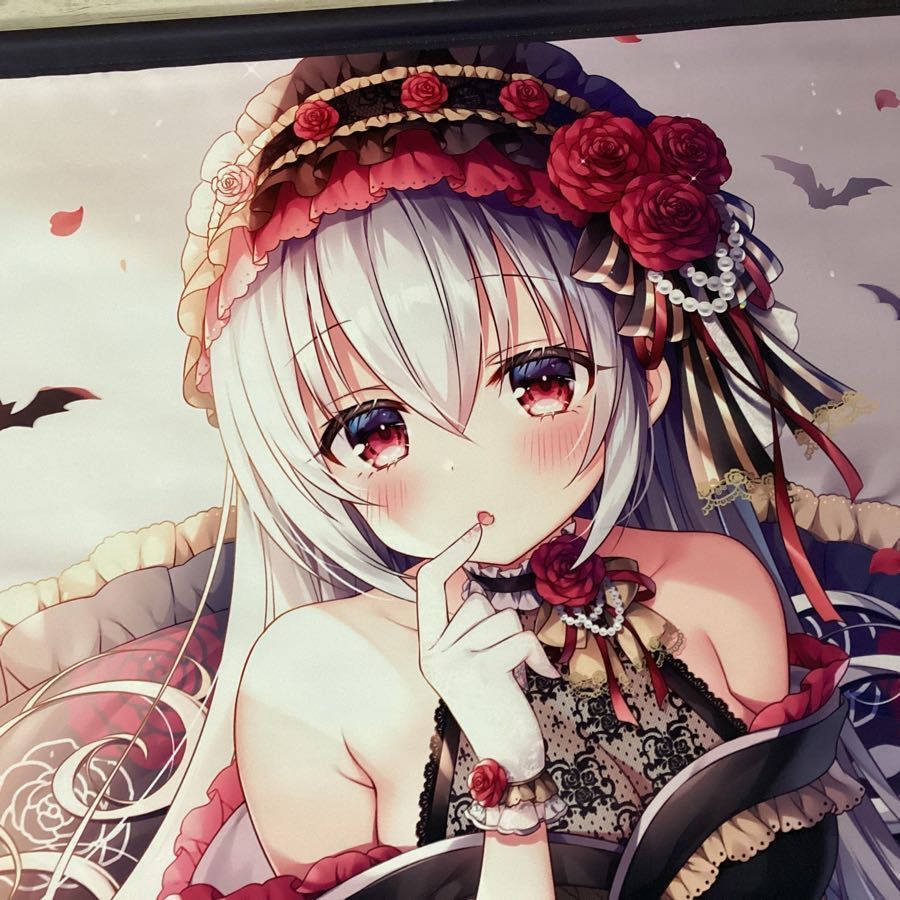 現状】IDEABASE AILU vol.13 三つ葉ちょこ 眷属と吸血鬼ちゃん B2 