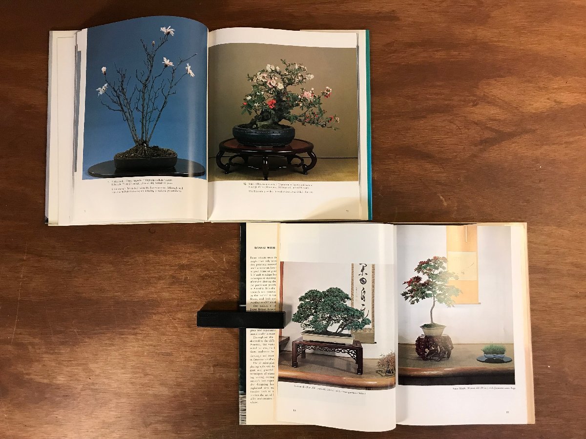 HHj-4546 □送料無料□ 盆栽 雑誌 図録 作品集 5冊まとめて 盆石