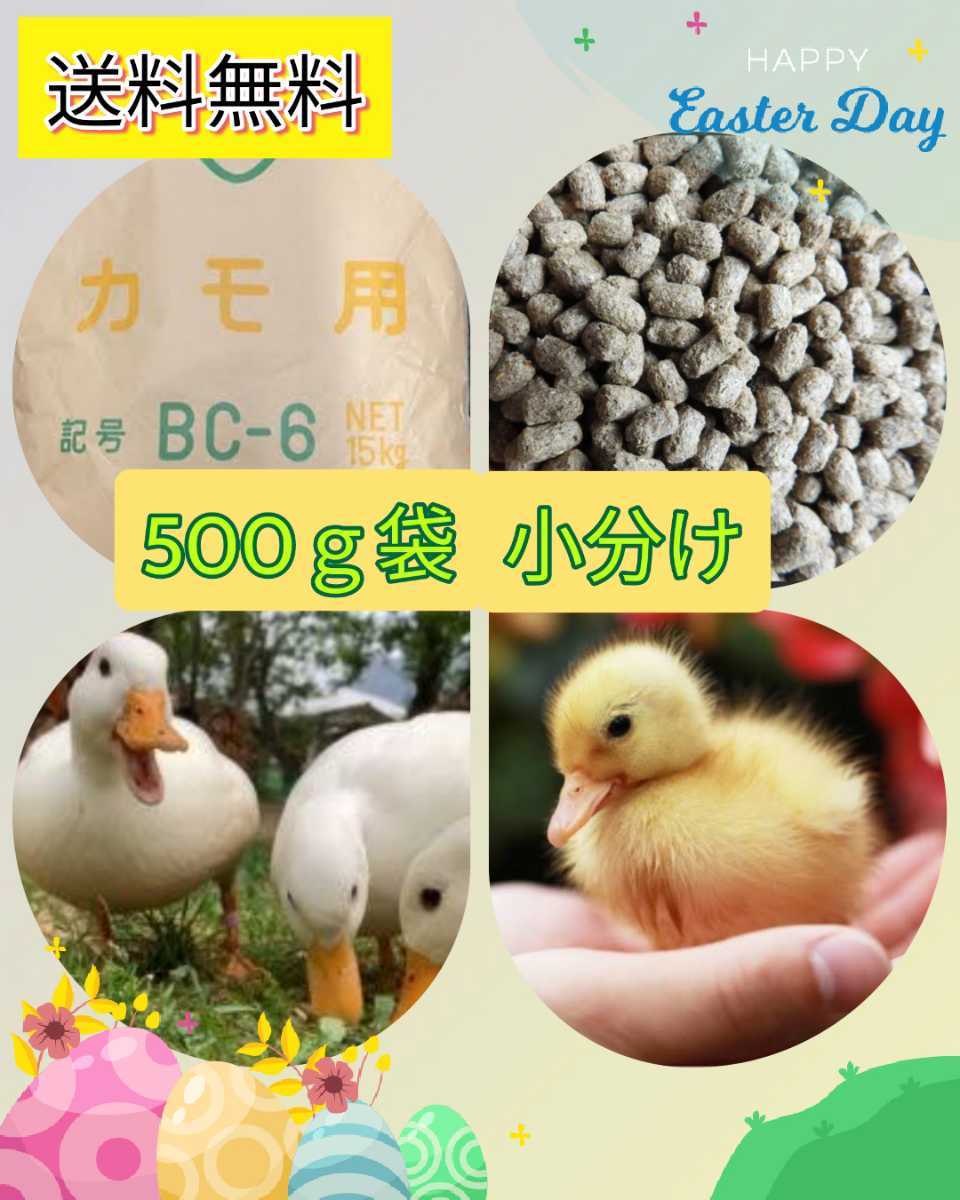 送料無料 【アヒル・コールダック用総合飼料・ペレット】BC-6