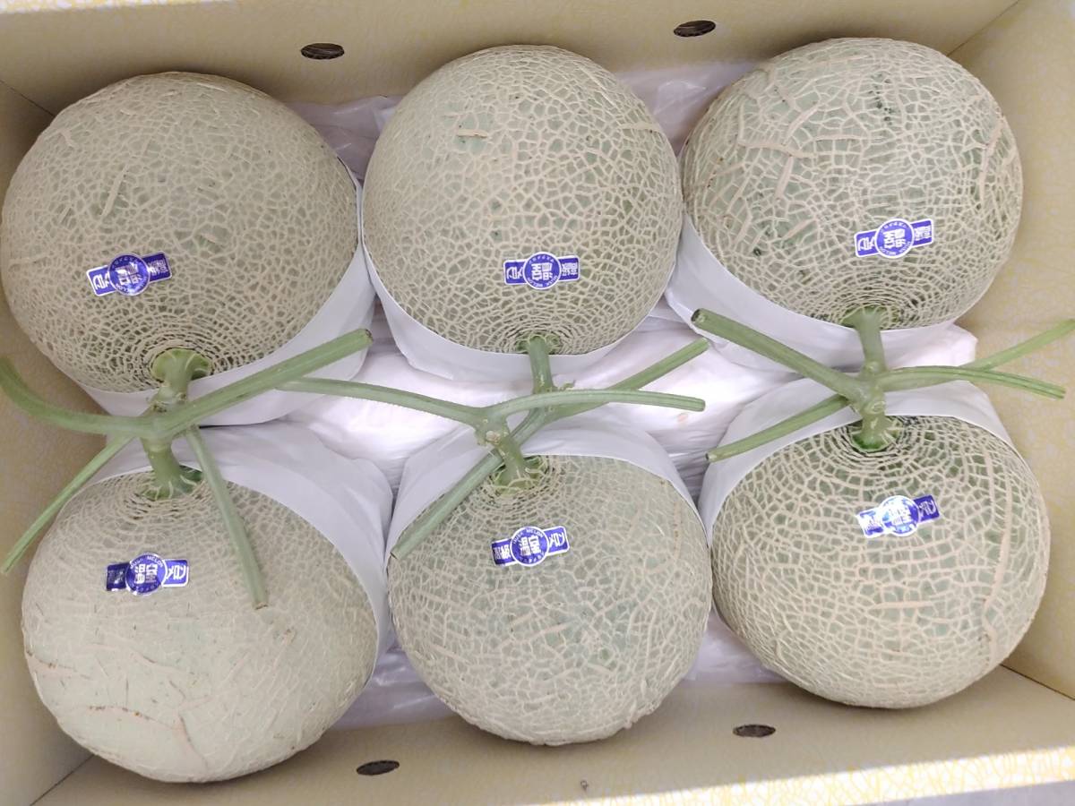 マスクメロン ページ 高知産 約７.５ｋg 高知産６玉入り ♪６温室