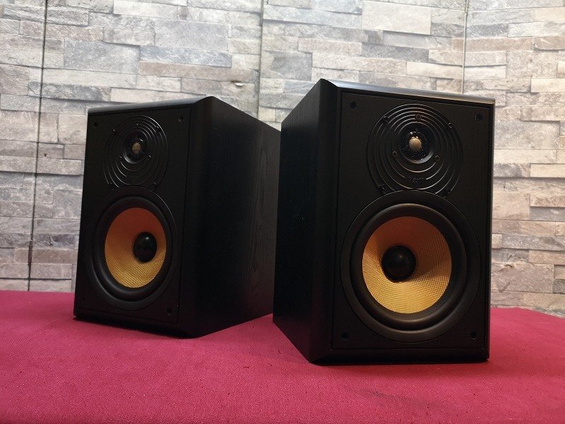 レア東独 RFT B9251 20cm2wayスピーカーペア 銘機L2921搭載！ 東独RFT