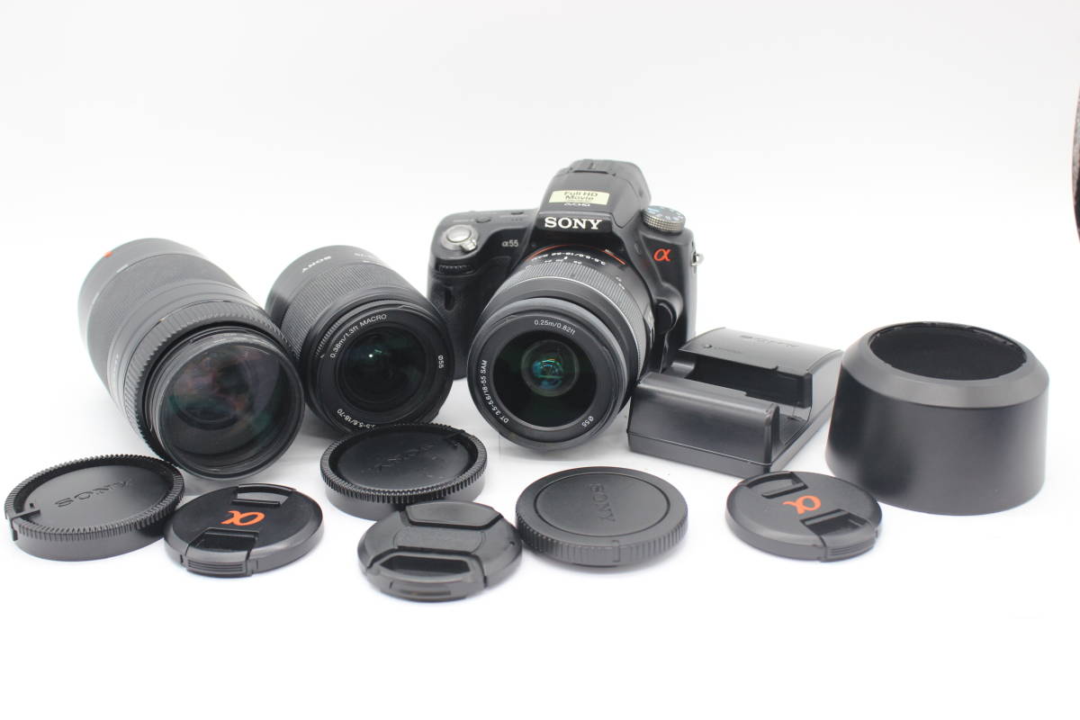 ソニー SONY ミラーレス一眼 α55 ズームレンズキット DT 18-55mm F3.5 