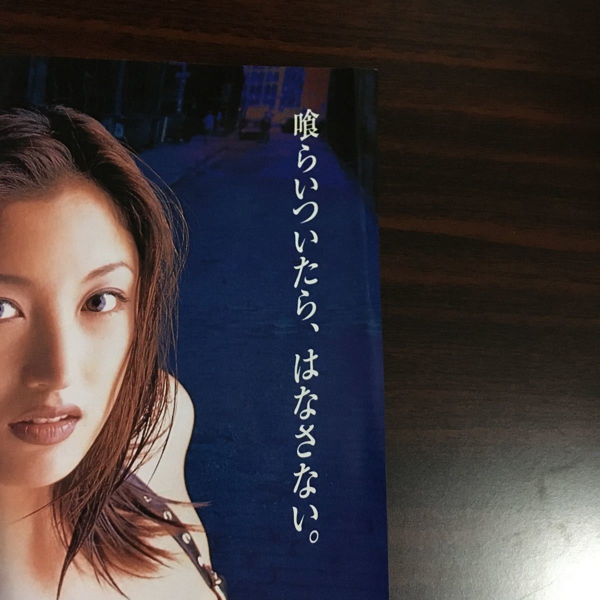 映画チラシ「82（ワニ）分署」 後藤大輔監督 井上晴美/田山真美子(映画