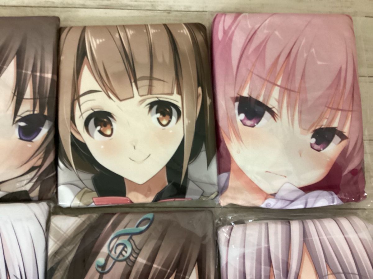 赤字超特価，限定SALE 【現状】PCゲーム 抱き枕カバー ， ベッドシーツ 