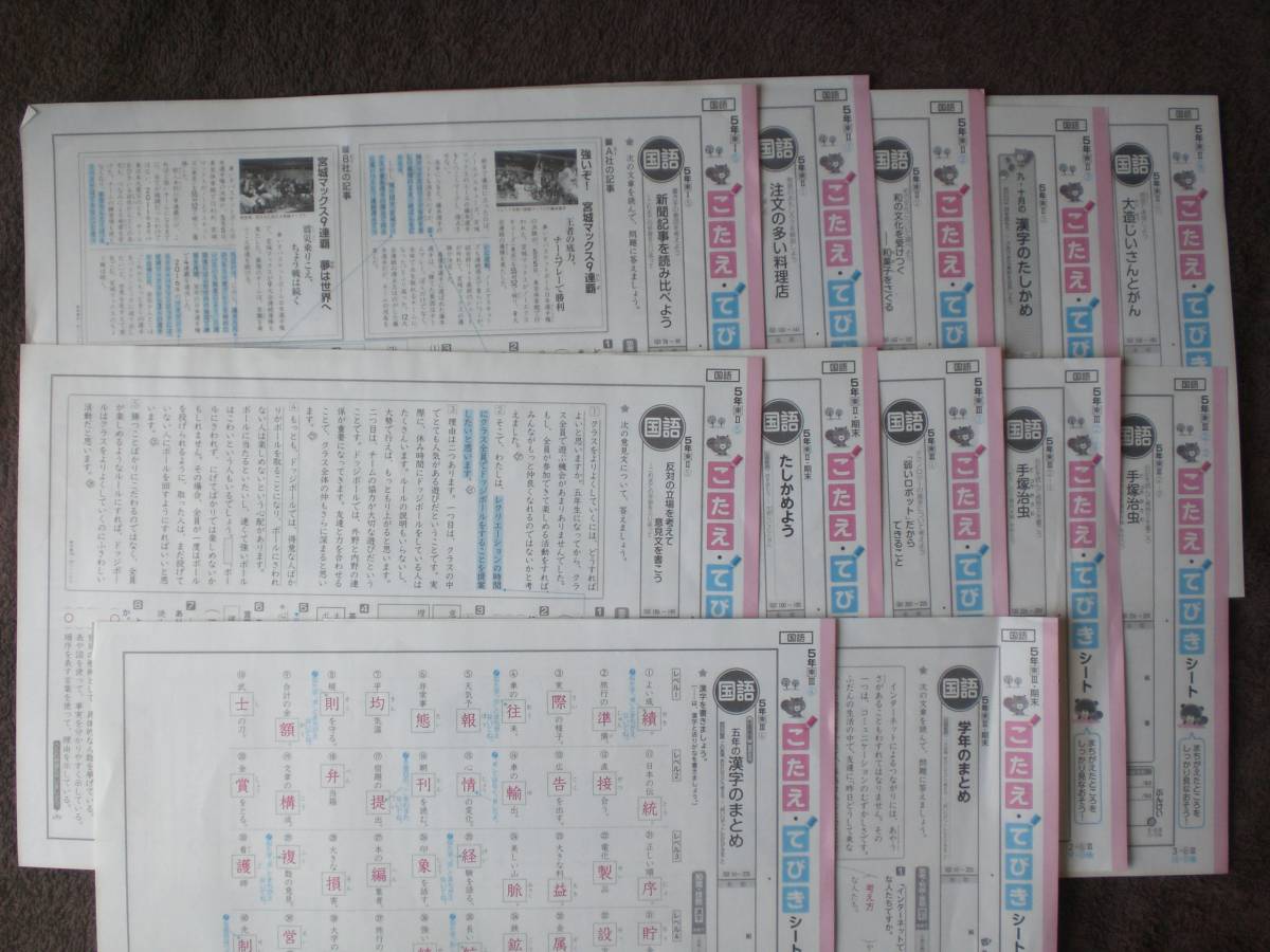 3391 小学5年生 国語 東京書籍 国語テスト ぶんけい 13枚 解答のみ