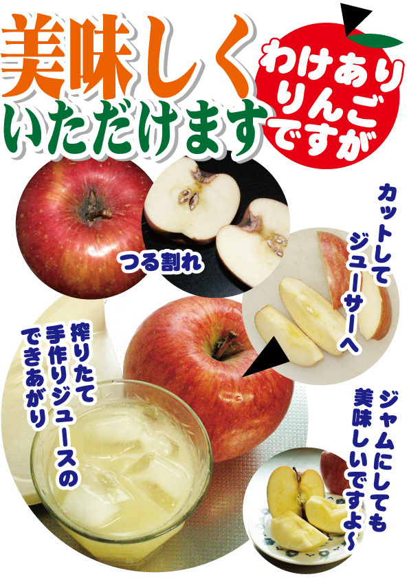 青森県産 サンつがる B級品 20キロ用 木箱サイズ ダンボール 詰 わけ