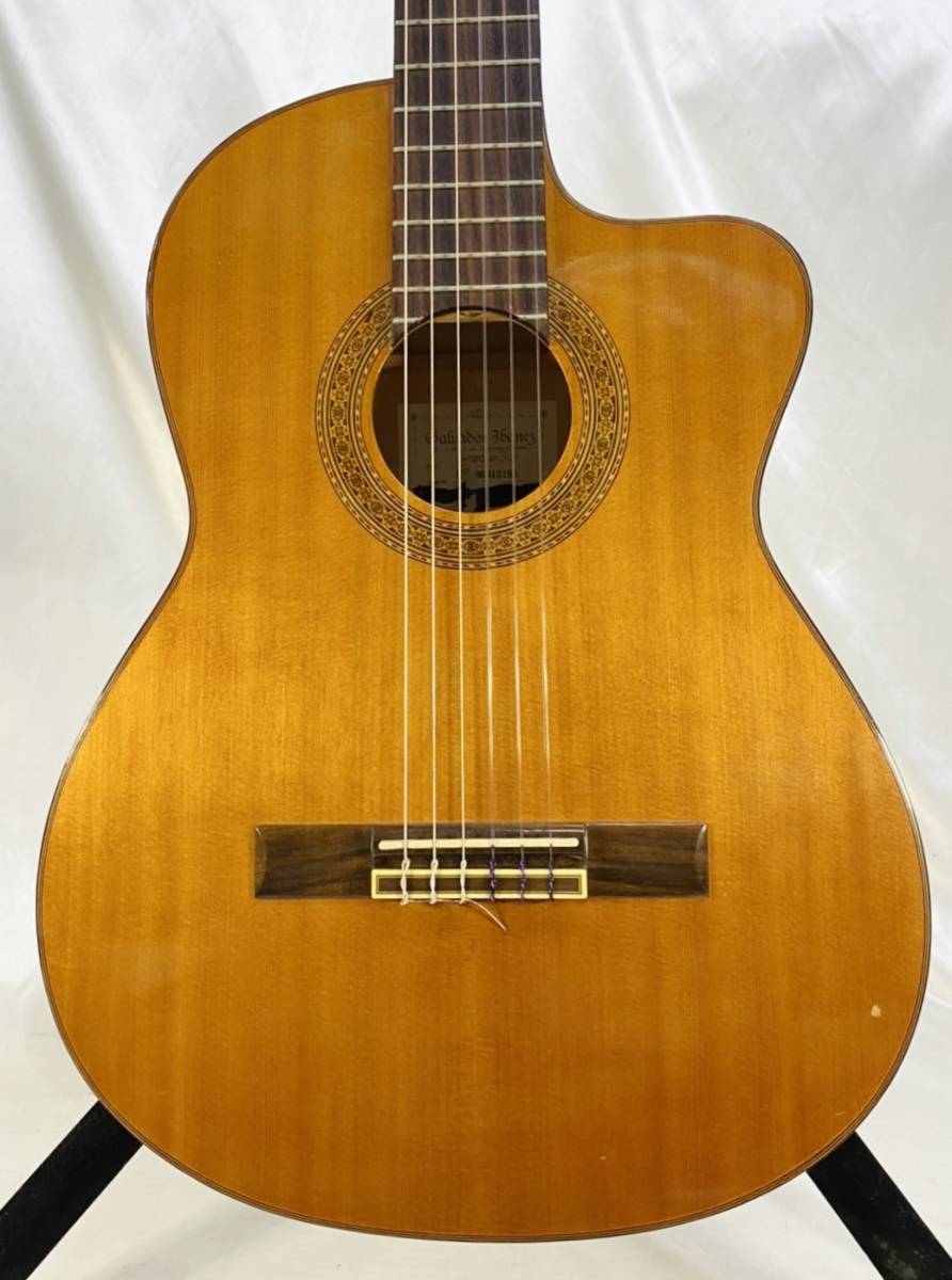 通電OK! 外装美品 アイバニーズ エレガット AM-2Y-01 エレアコ ギター 中古