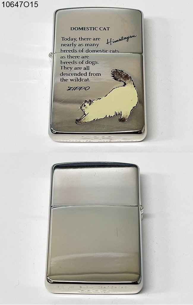 ZIPPO domestic cat
