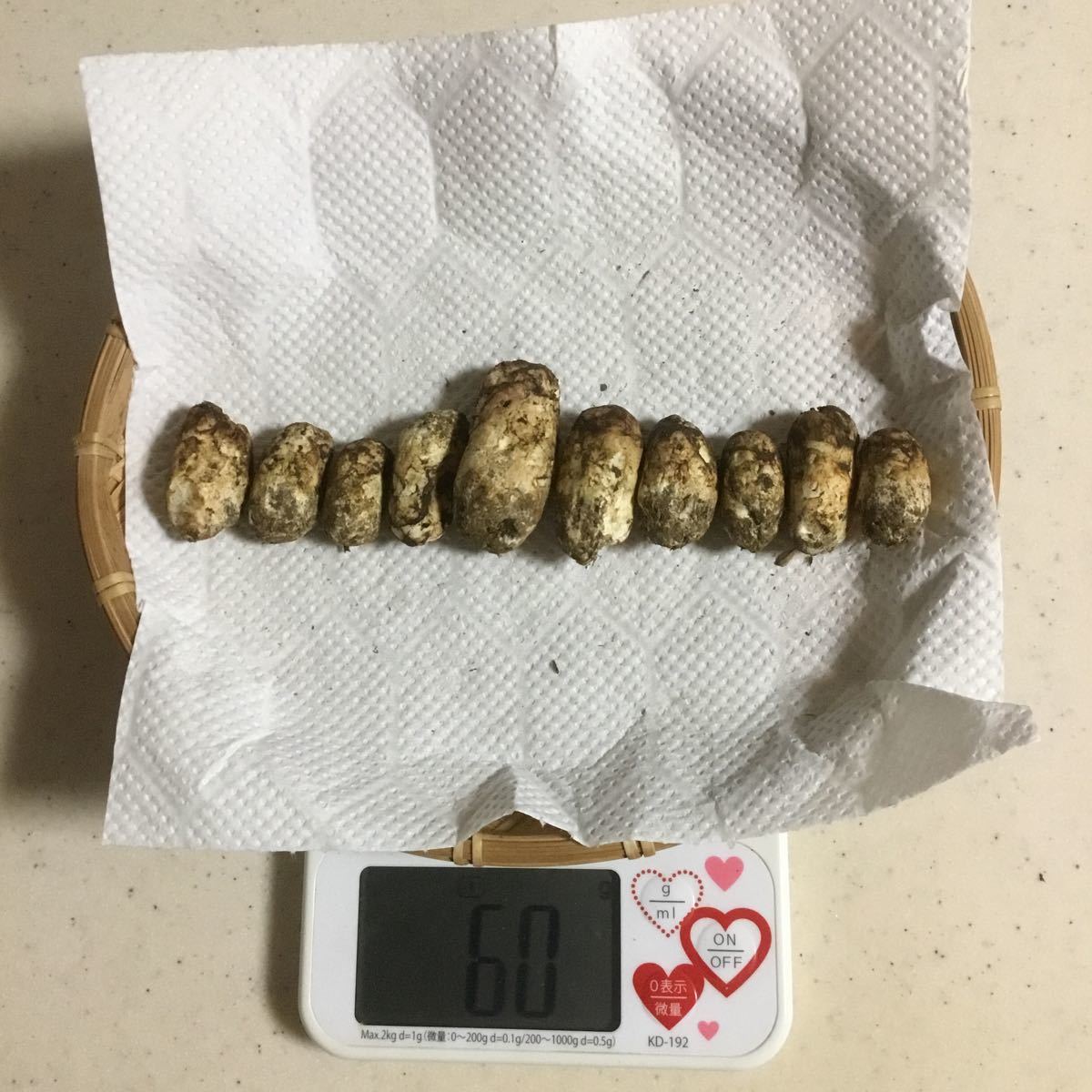  長野県安曇野産 松茸 10月1日 60g(マツタケ)｜売買されたオークション情報、yahooの商品情報をアーカイブ公開 - オークファン マツタケ