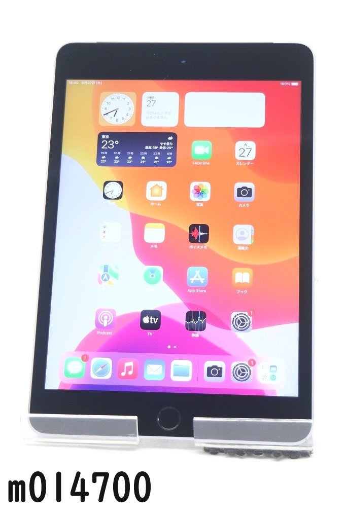 白ロム SIMフリー SoftBank SIM解 Apple iPad mini4 Wi-Fi+Cellular 16GB iPadOS15.7 スペースグレイ MK6Y2J/A 初期化済 【m014700】