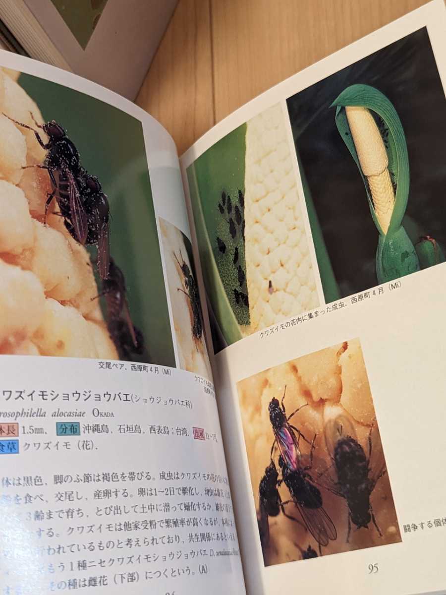 沖縄昆虫野外観察図鑑 増補改訂版 全7巻 沖縄出版 【公式通販】