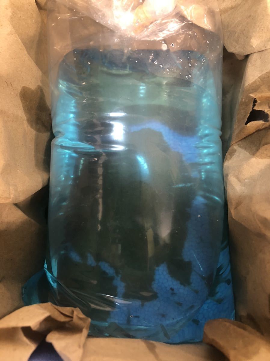 ユリシス 稚魚 20匹＋α 商品詳細｜マルゲン メダカの通販｜高級 最新リリース: 生体（観賞魚・水中生物） の新着 アクアリウム メダカの稚魚（針子）の育て方｜お役立ち情報  メダカの成長を解説｜卵から稚魚・成魚まで過程や飼育ポイントを メダカの産卵率や卵が増える飽和給餌の方法 メダカの飼い方と繁殖方法｜媛めだか | 手間要らず！この方法で針子はすぐに若魚になりますメダカ