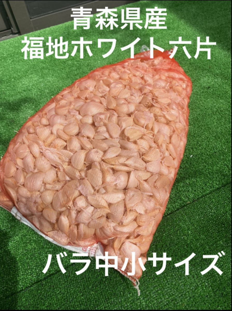 種用 青森県産 品種 ホワイト六片 にんにく バラ 500g 数量限定新物 種用 青森県産 品種 ホワイト六片 にんにく バラ 500g 数量限定新物