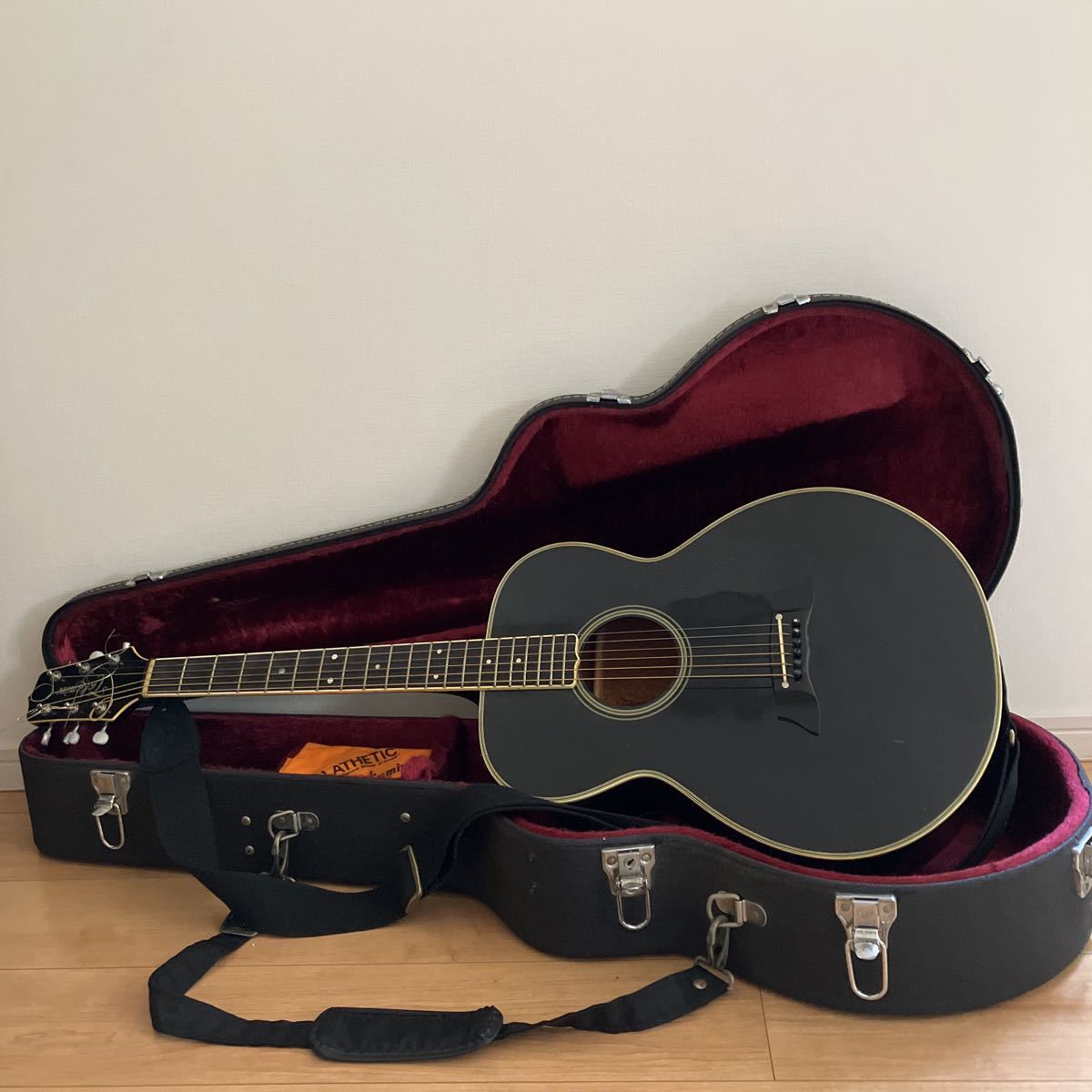 Takamine タカミネ アコースティックギター PT-105 ジャンク タカミネ