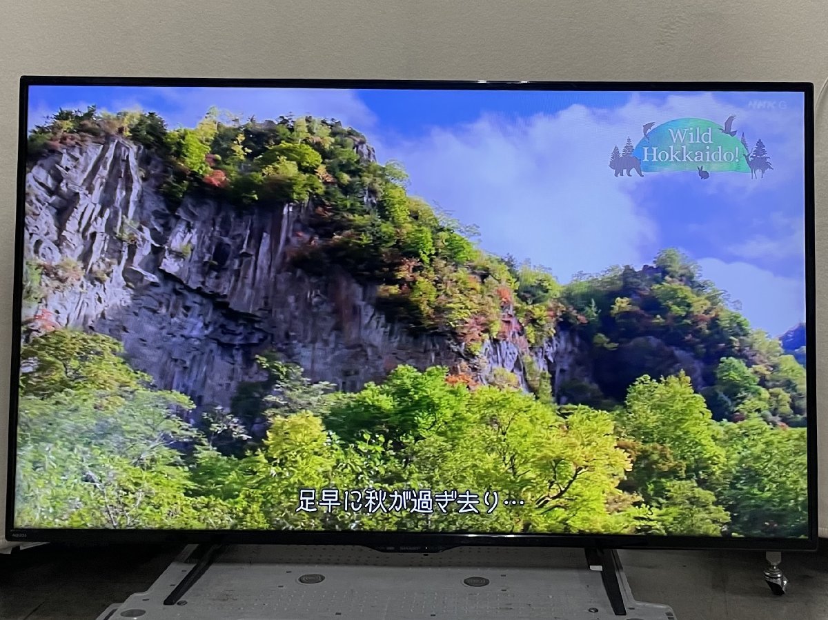 SHARP⁄シャープ SHARP AQUOS シャープ テレビ 札幌 SHARP（テレビ）の 
