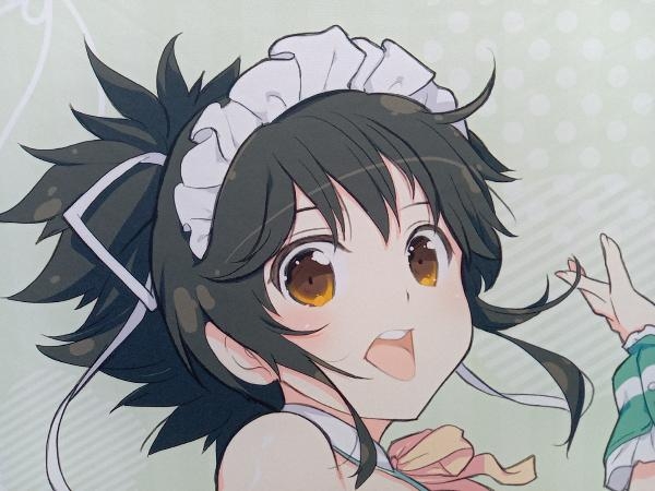 ディ・テクノ 飛鳥 等身大タペストリー 「閃乱カグラ 爆乳ハイパー webくじ 2パイ目」 A-3賞