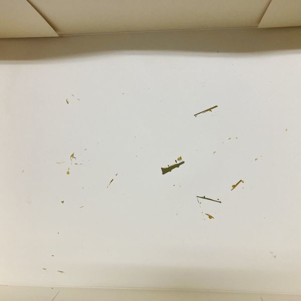 【送2L】1円～未組立 アキュレイトミニチュア ACCURATE MINIATURES B-25C/D ミッチェル 1/48 Mitchell ジャンク_5