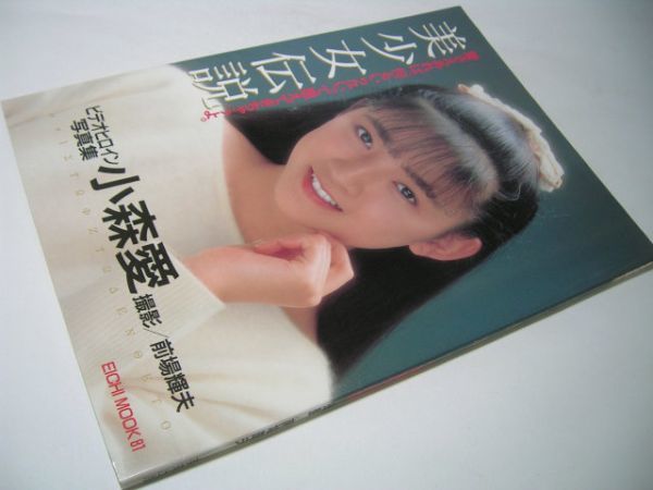 阪神電車 武庫川車両 製造銘板 車両銘板 アクリルプレート 昭和46年 西宮