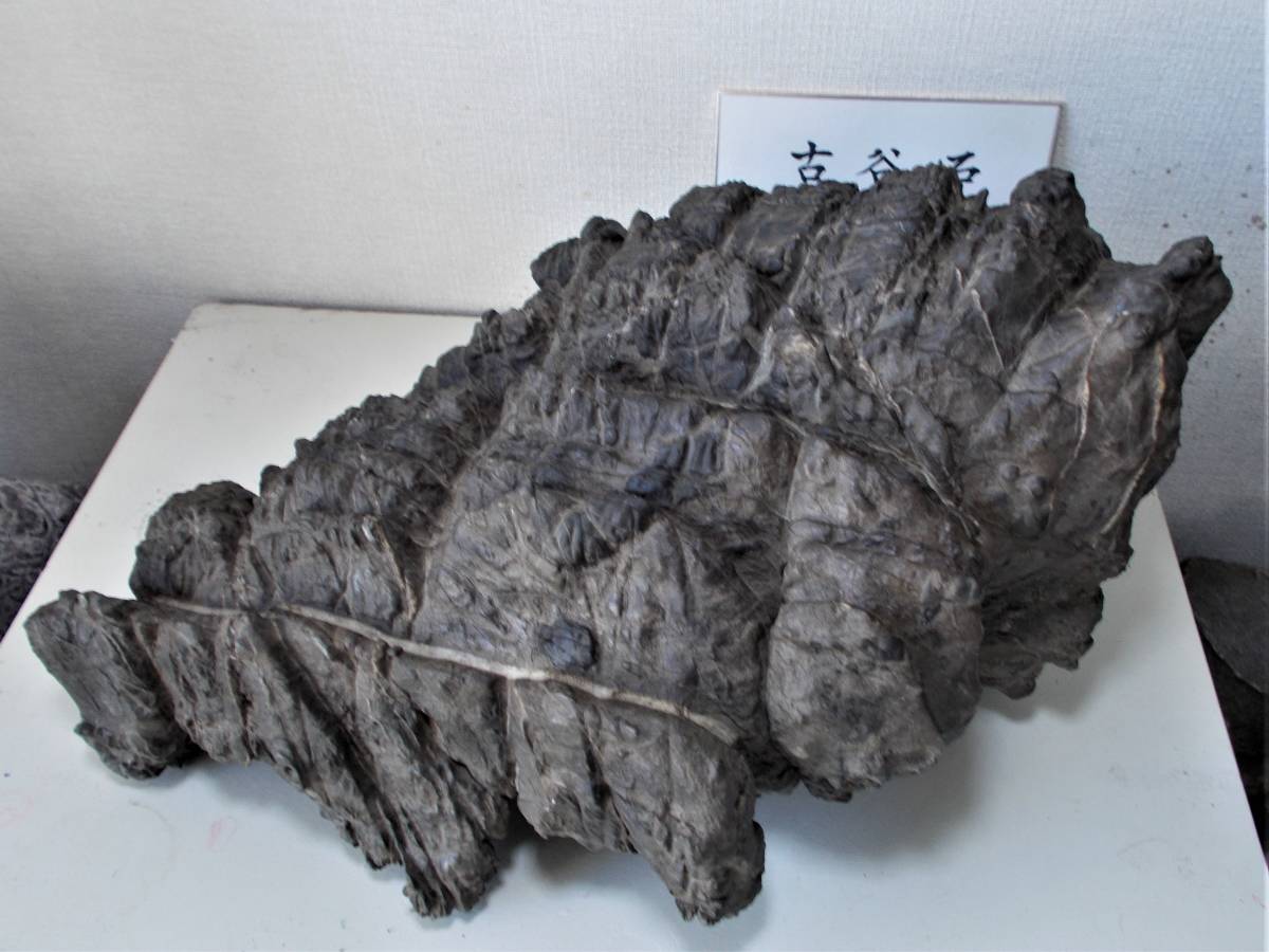【和歌山古谷石3点セット】自然石 盆石　鑑賞石　置物　天然石 和歌山古谷石3点セット】自然石 盆石 鑑賞石 置物 天然石 Yahoo