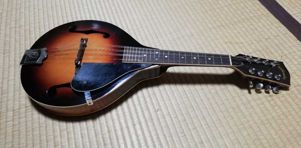 JUNBOフラットマンドリンハードケース付き 【公式通販】