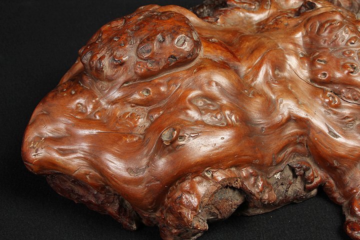 CN228 重厚 天然木瘤・自然木瘤・天然樹瘤 幅49.6cm 重6.5kg・天然木