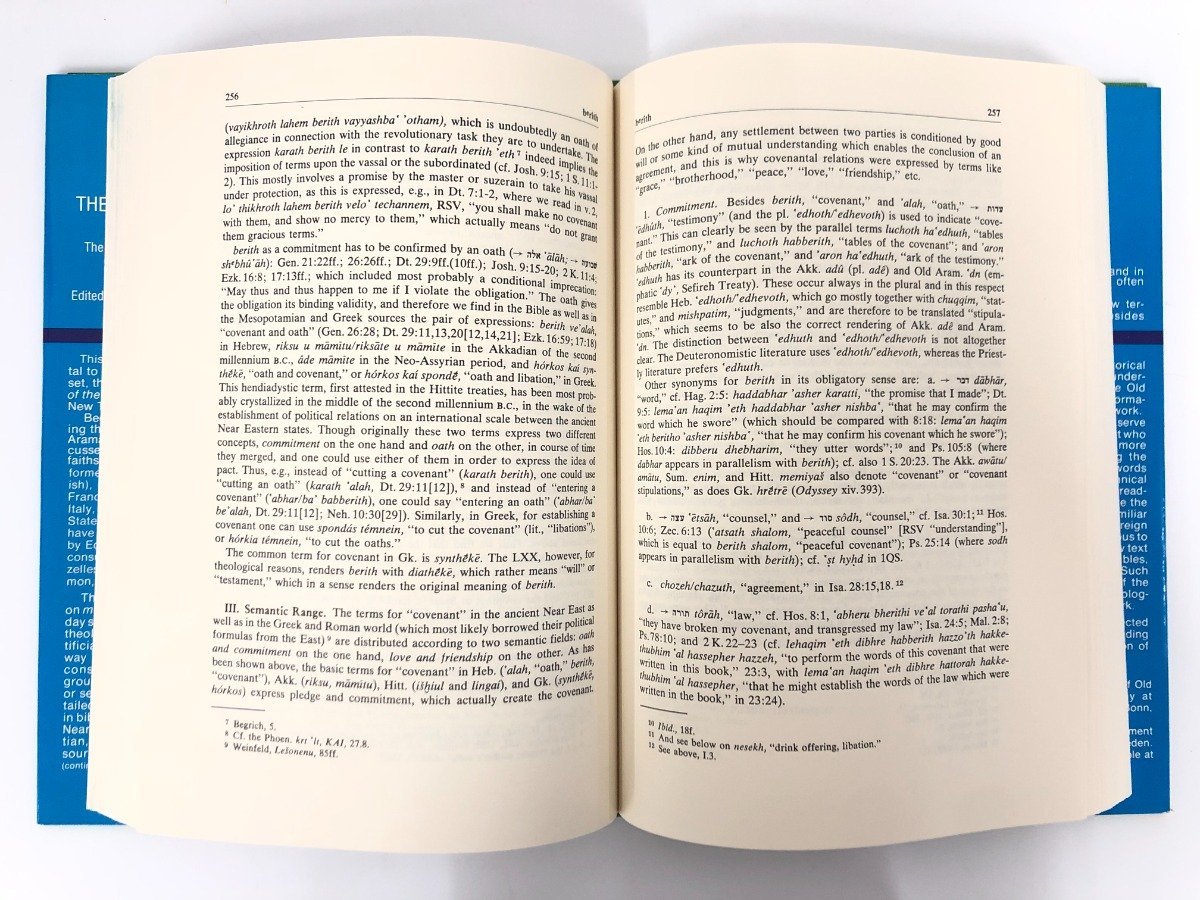 ▽1 【洋書12冊 THEOLOGICAL DICTIOMARY OF THE NEW TESTAMENT 1-10+