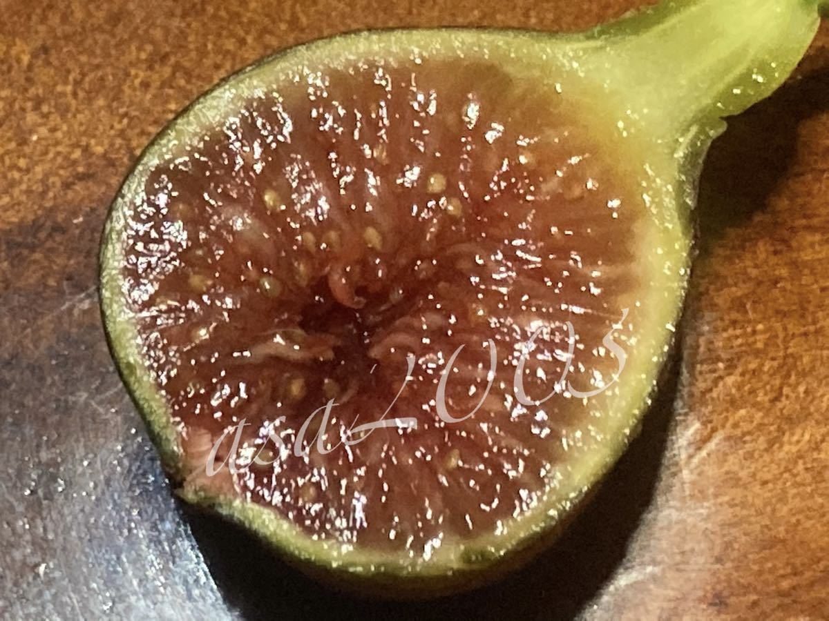 Madeira Black それ本物ですか？Black 世界一美味しいイチジク No.01