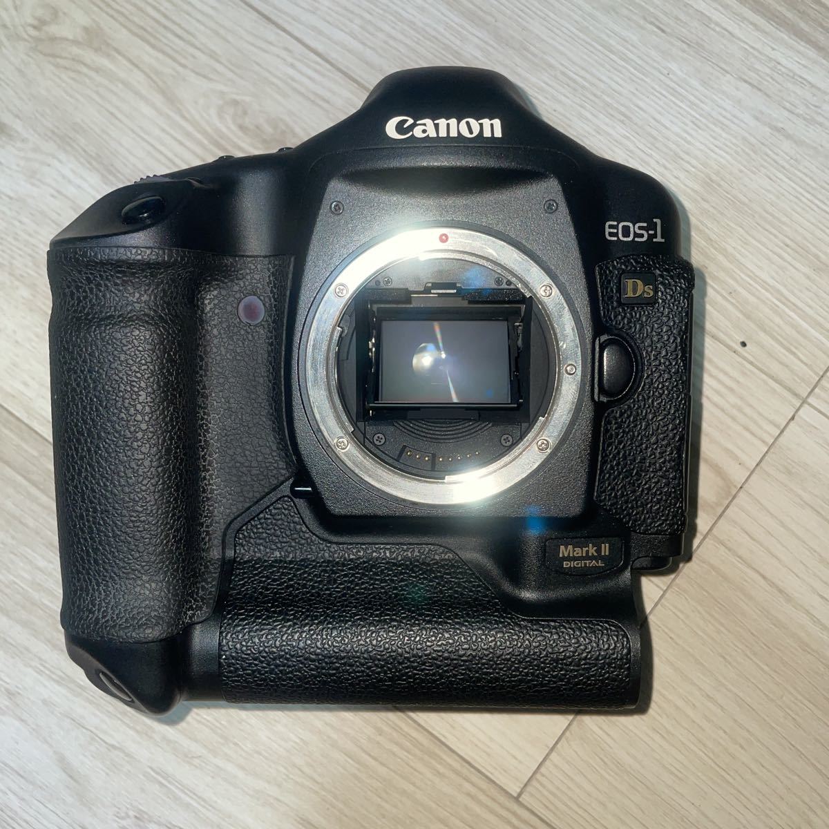 ジャンク】Canon キャノン EOS-1Ds Mark ii マーク2 見た目は綺麗です