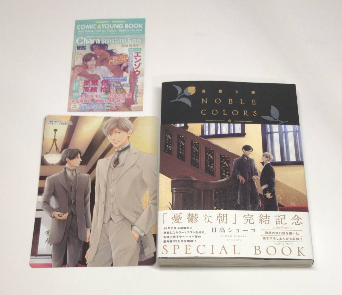憂鬱な朝 NOBLE COLORS / 日高ショーコ 「憂鬱な朝」完結記念 SPECIAL BOOK イラスト集 描き下ろしまんが付 ノーブルカラーズ al-8046