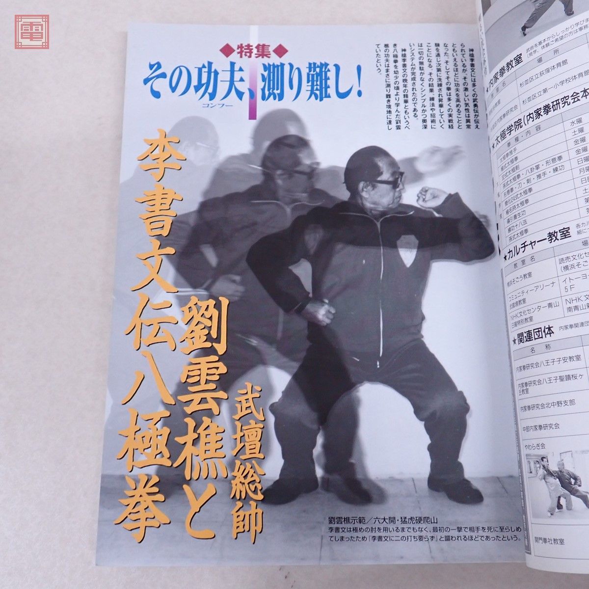 武術別冊 実戦中国武術の世界II 福昌堂 中国武術の専門誌 武術 うーしゅう 2002年 夏号 福昌堂 武壇総師