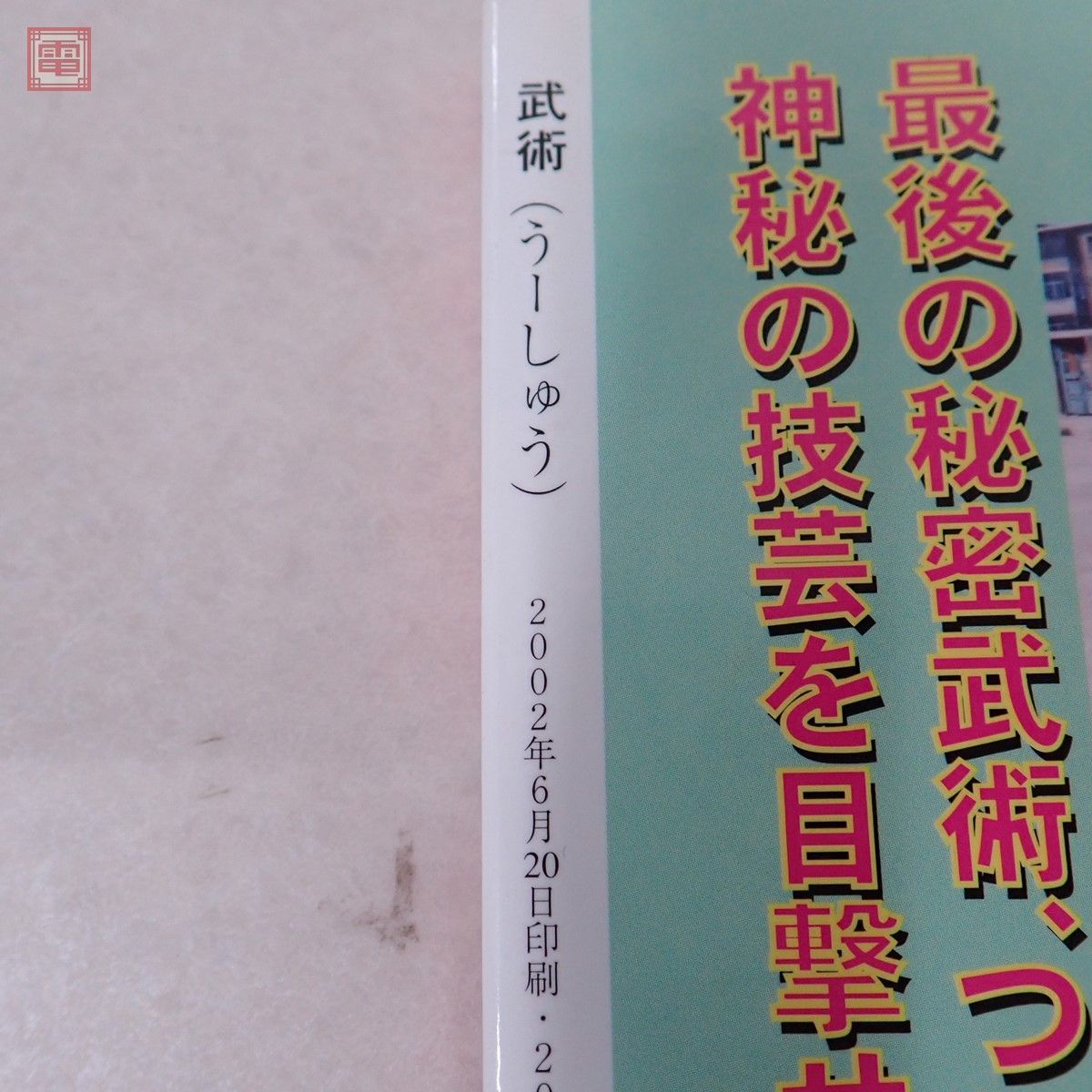 中国武術の専門誌 武術 うーしゅう 2002年 夏号 福昌堂 武壇総師