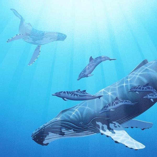 クロ様 シム シメール シルクスクリーン シム シメール 「ドルフィン