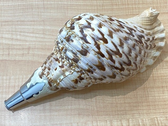 法螺貝 ホラ貝 ほら貝 長さ 約35cm 重さ 868g 吹き口 楽器