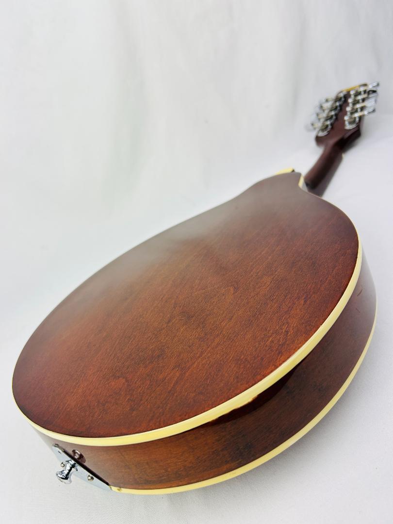 送料込み】サミック SAMICK フラット マンドリン 弦楽器 ＃433676