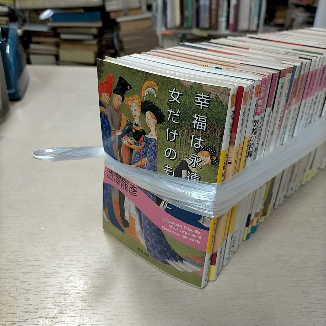 澁澤龍彦 まとめ売り タイトルは写真をご参照ください〇古本/未清掃未