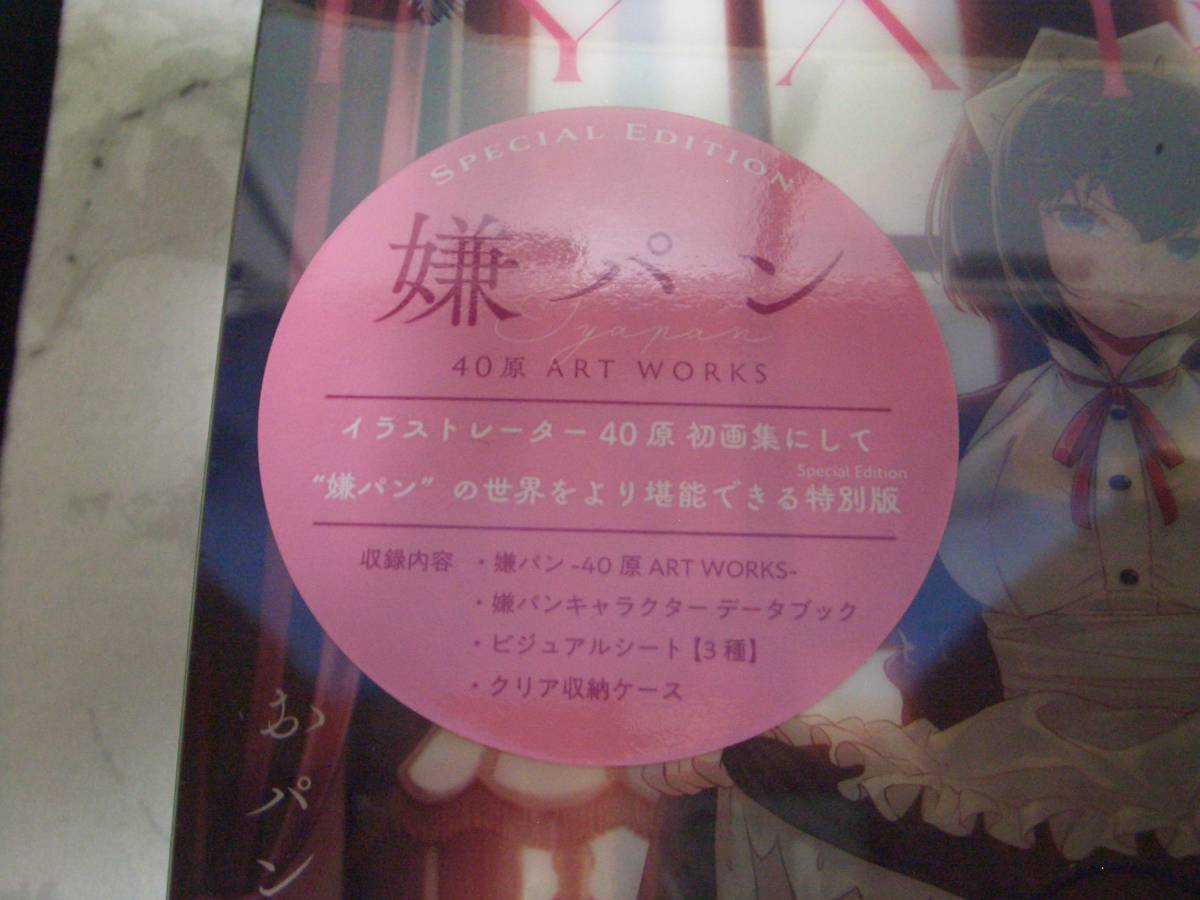 40原 嫌パン ART WORKS 画集 【嫌な顔されながらおパンツ見せてもらい  