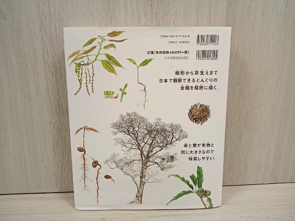 日本どんぐり大図鑑 」 徳永桂子 中古 日本どんぐり大図鑑 中古本