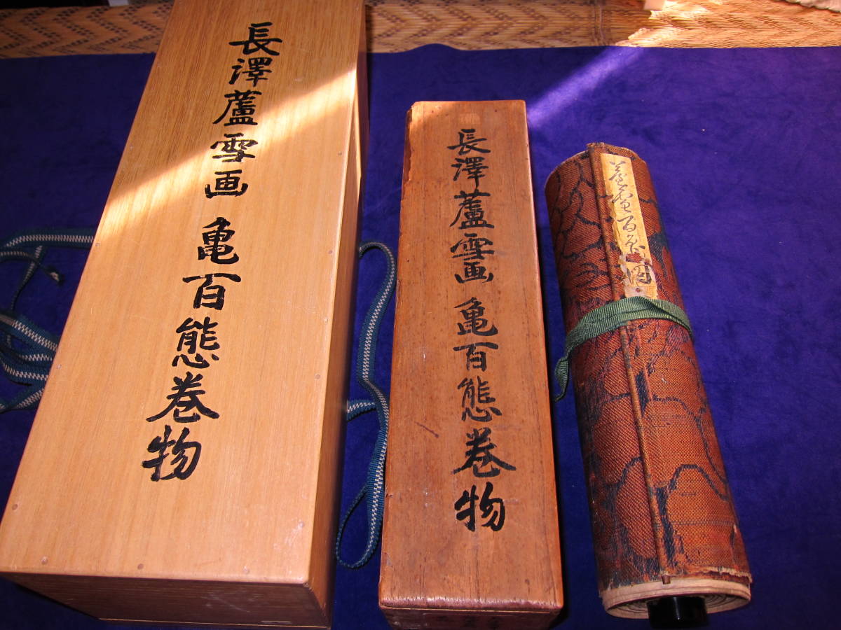 江戸時代巨匠、長澤蘆雪亀図肉筆巻き物 | 長沢芦雪 長沢蘆
