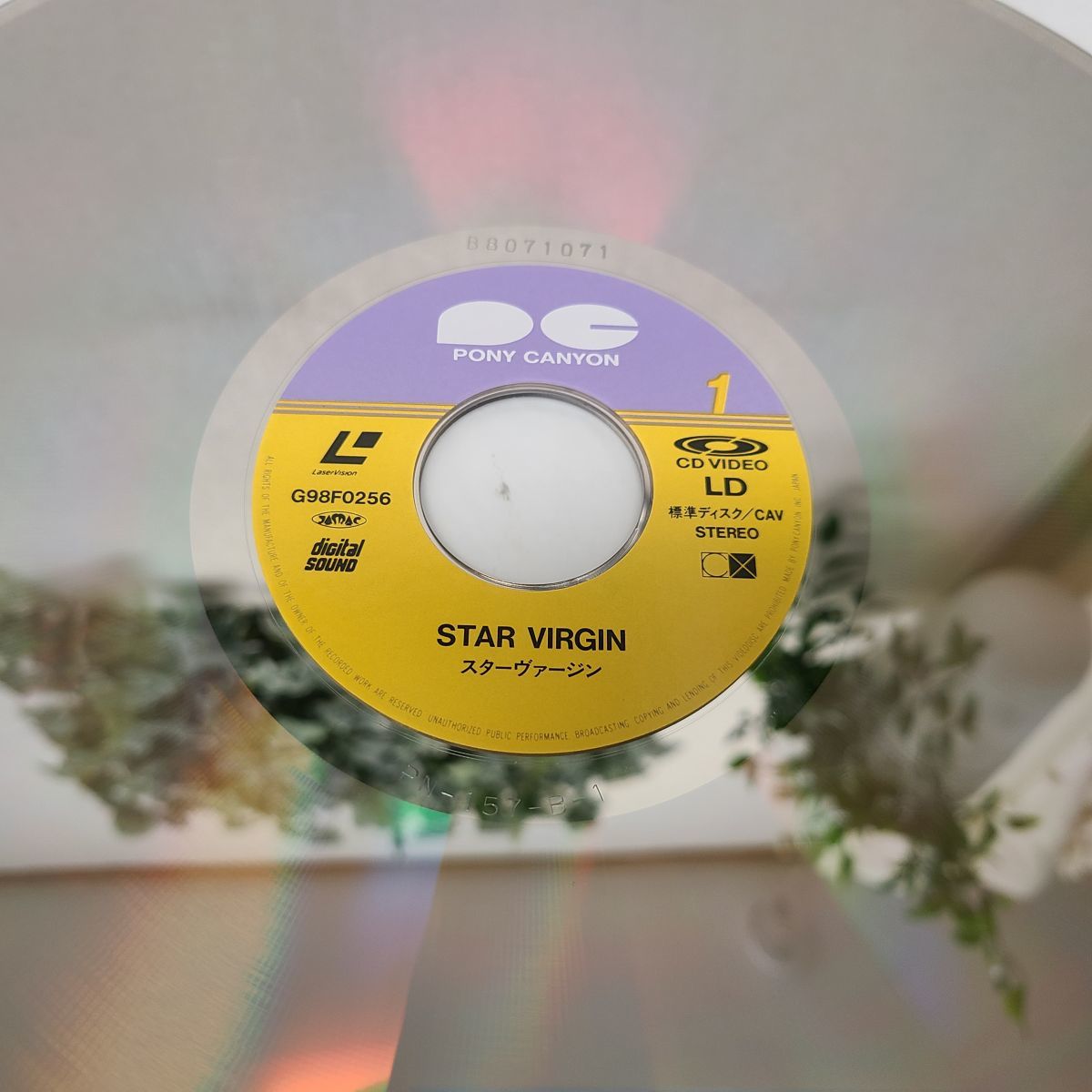 LD / スターヴァージン STAR VIRGIN / ポニーキャニオン / 帯付き 