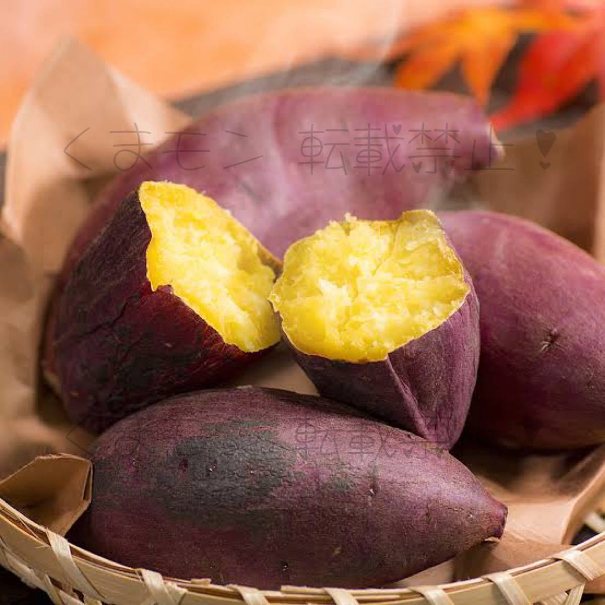 鹿児島県産 新芋 紅はるかA品 箱込10キロ M〜L