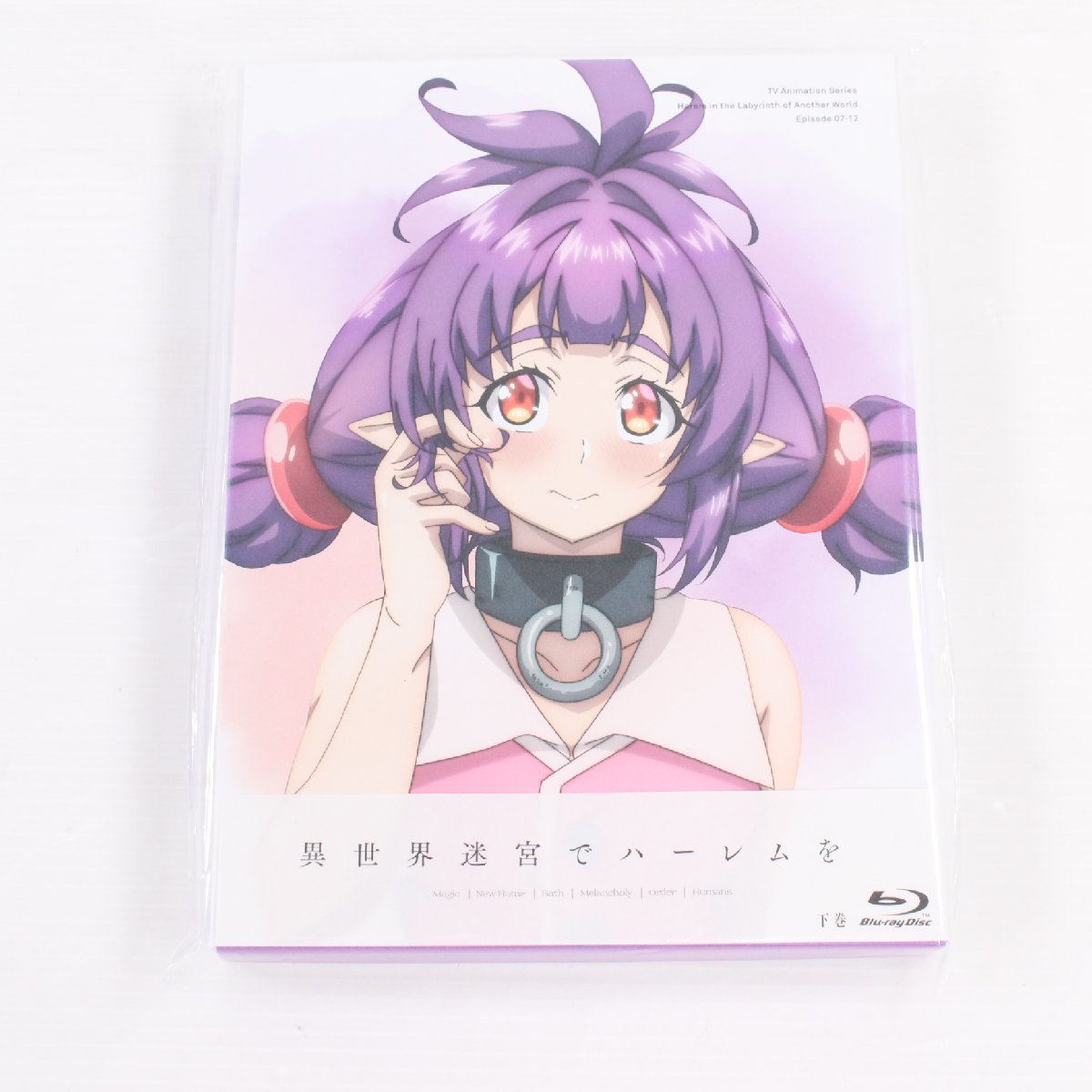 異世界迷宮でハーレムを Blu-ray BOX 下巻 65400613