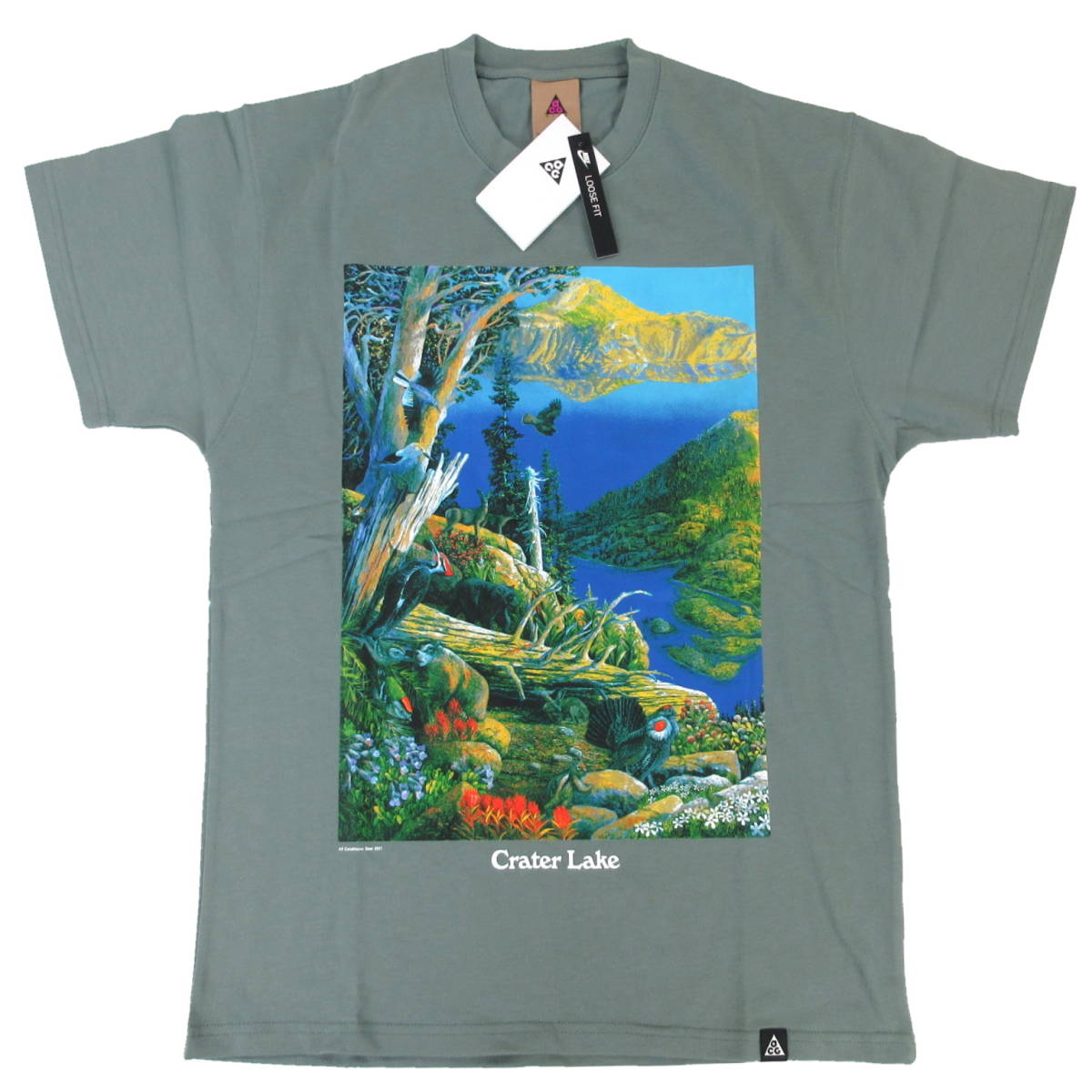 新品◆NIKE ACG◆NIKE AS M NRG ACG SS CRTR LAKE TEE レイク 半袖 Tシャツ L クレイグリーン◆ナイキ DA4878◆J716