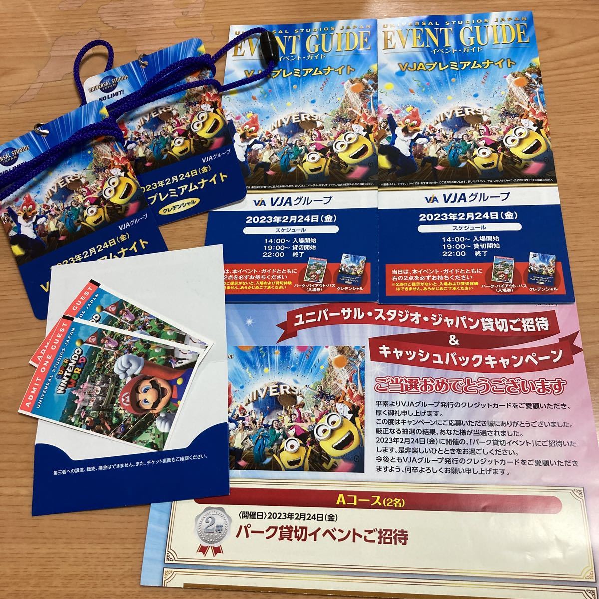 USJ ユニバーサルスタジオジャパン貸切ご招待VJAプレミアムナイト　2月24日(金）2名チケット