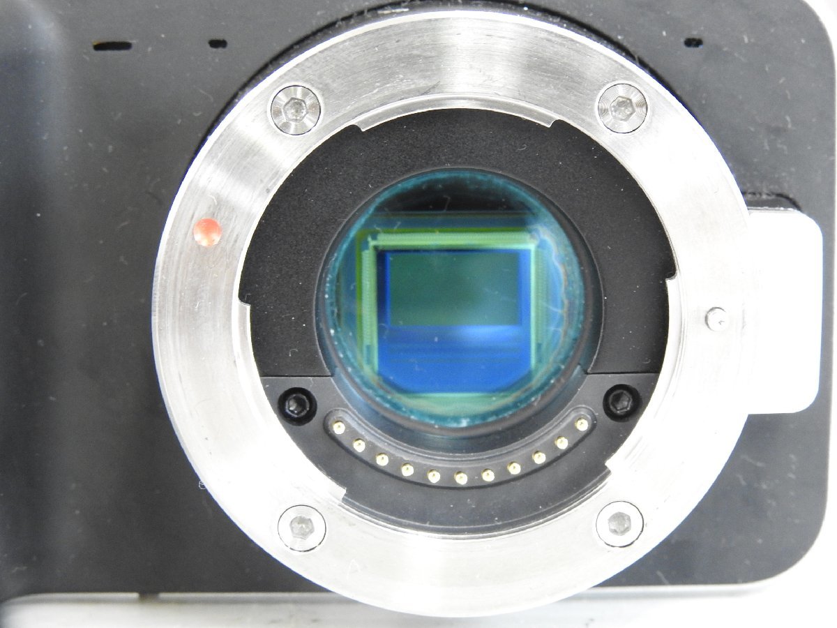 ☆ Blackmagic design ブラックマジックデザイン Cinema Camera シネマ