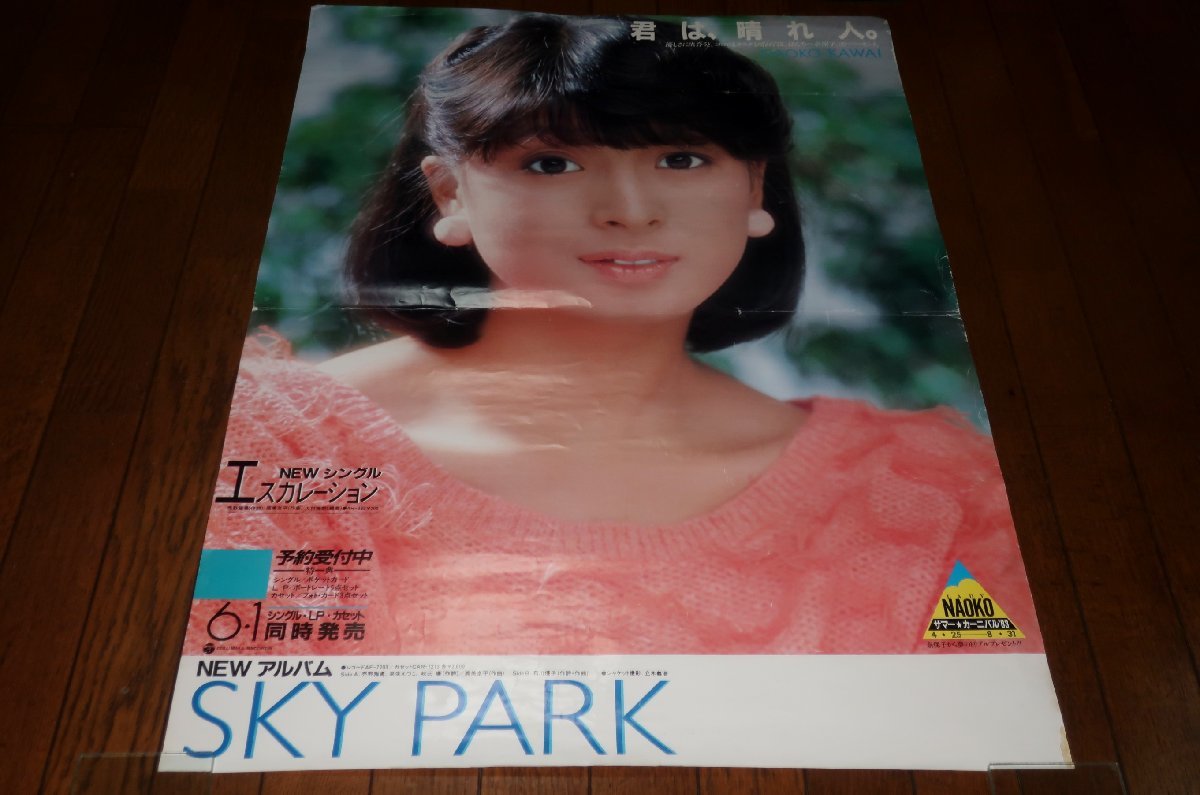 0211る3C□B2ポスター□河合奈保子/SKY PARK/エスカレーション