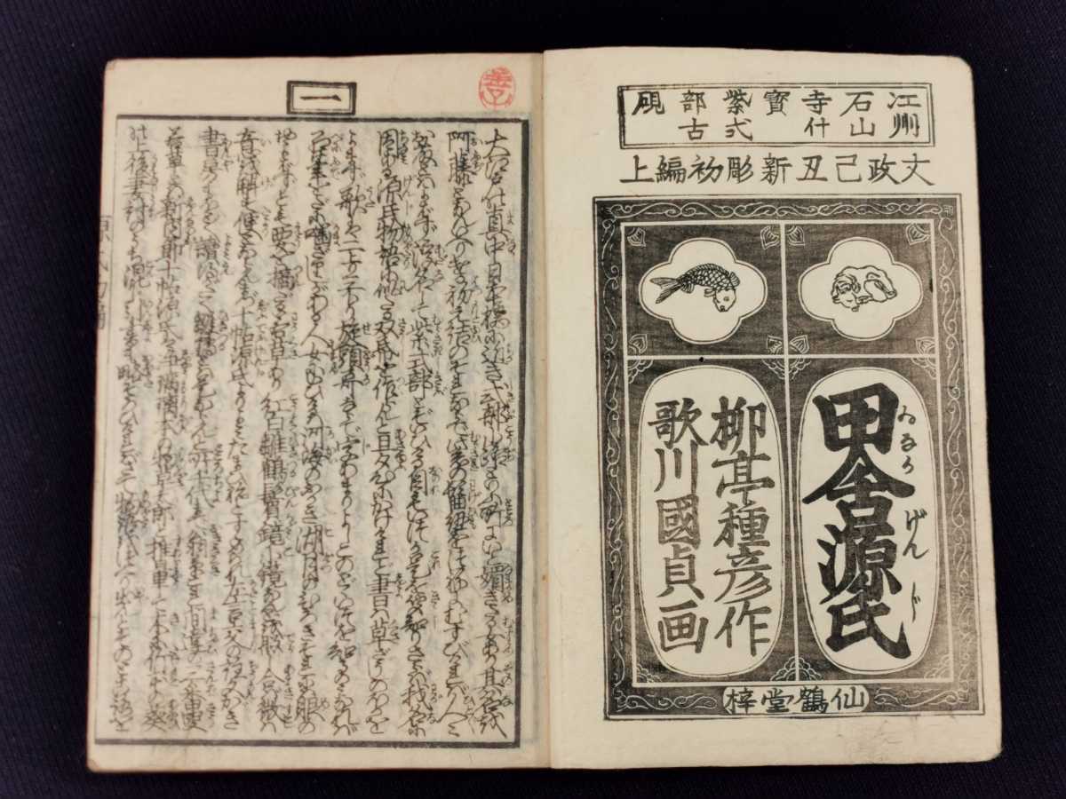 偐紫田舎源氏 20冊 江戸後期刊 草双紙 合巻 浮世絵 和本 古書 古文書